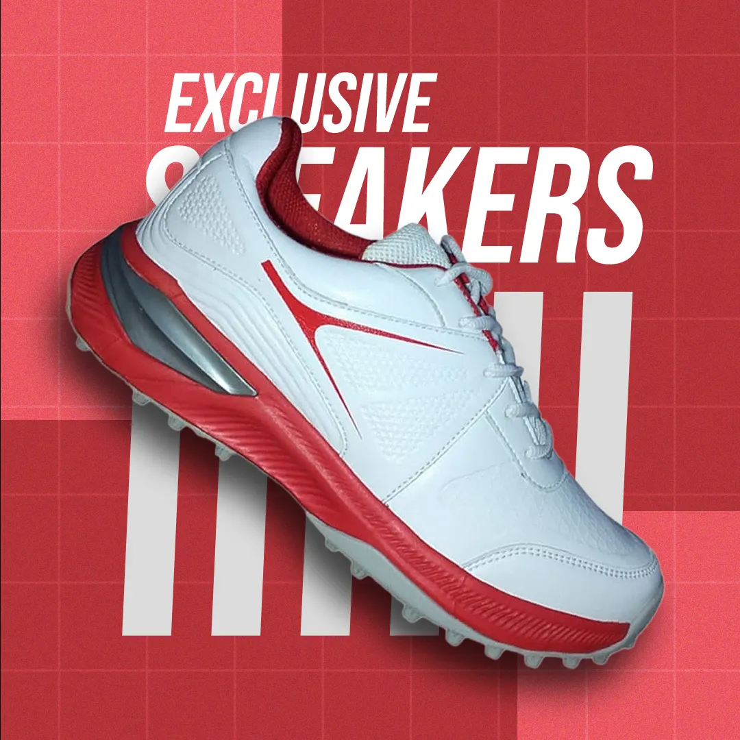 Read more about the article Naal Shoes 06